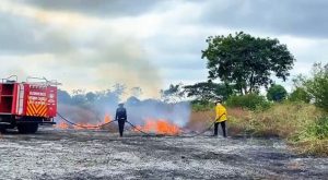 Técnica forestal y ambiental